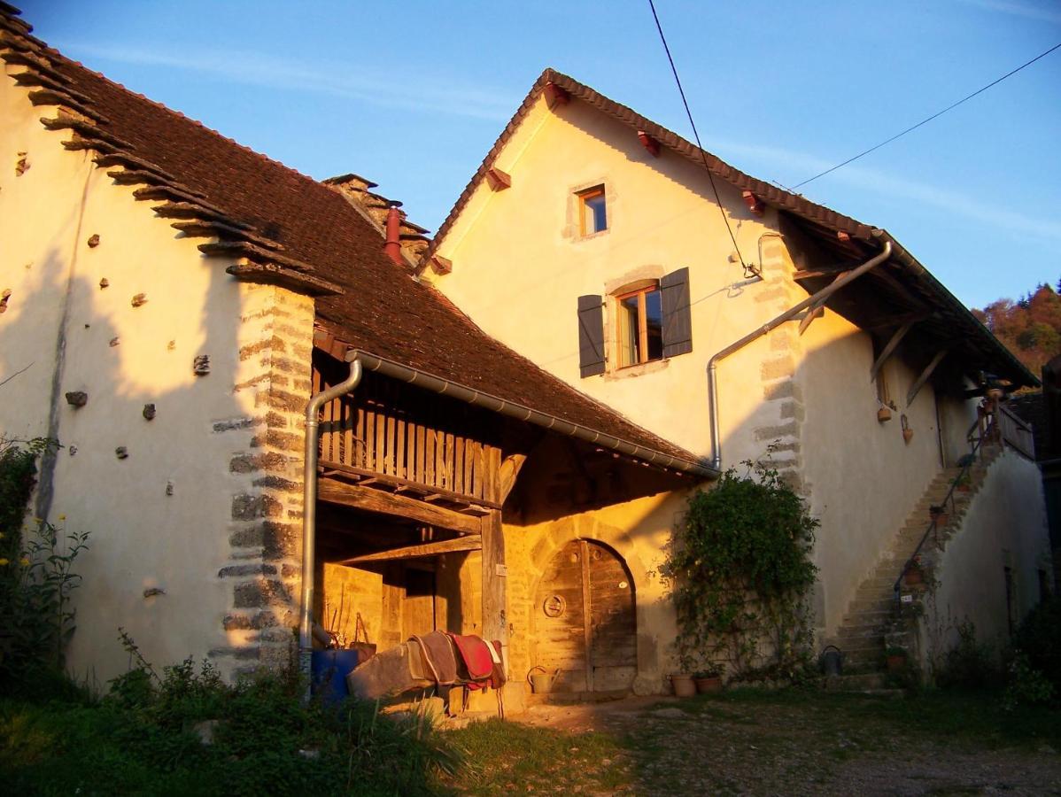 Maison Du Rostaing Passenans エクステリア 写真