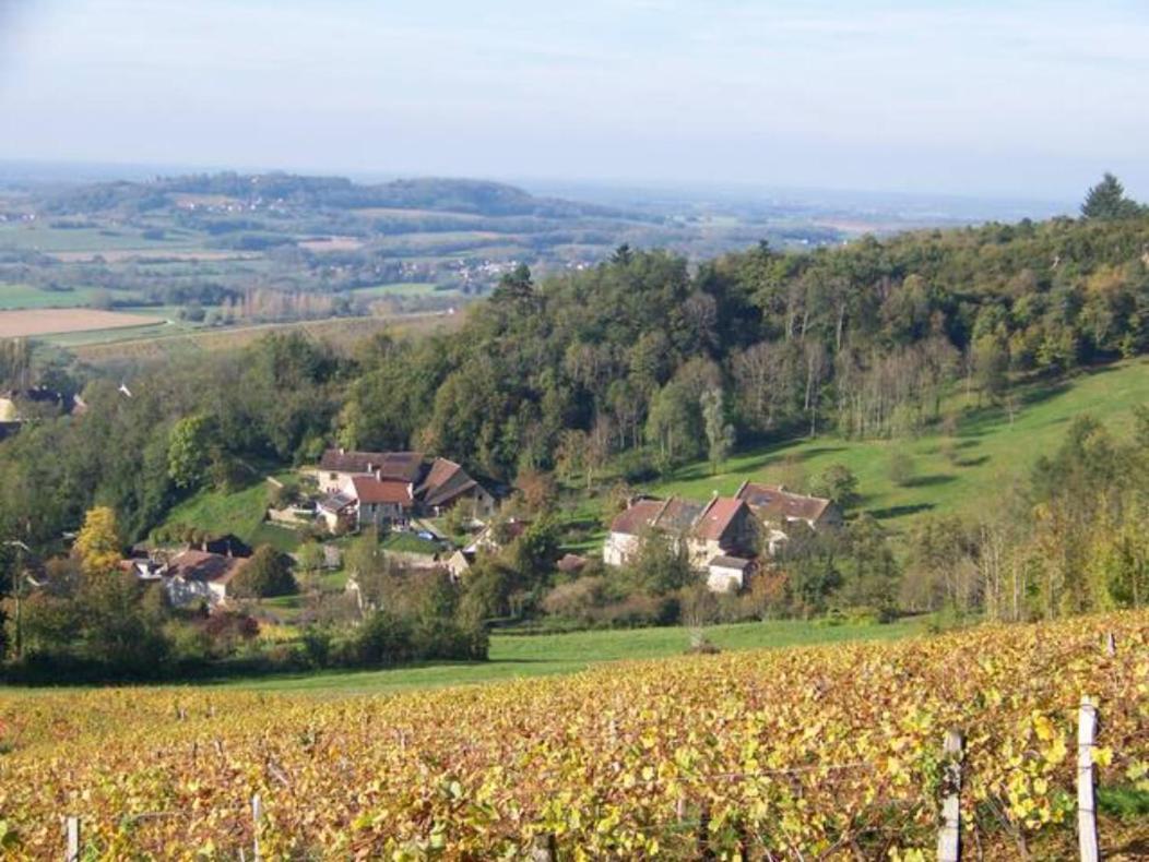 Maison Du Rostaing Passenans エクステリア 写真
